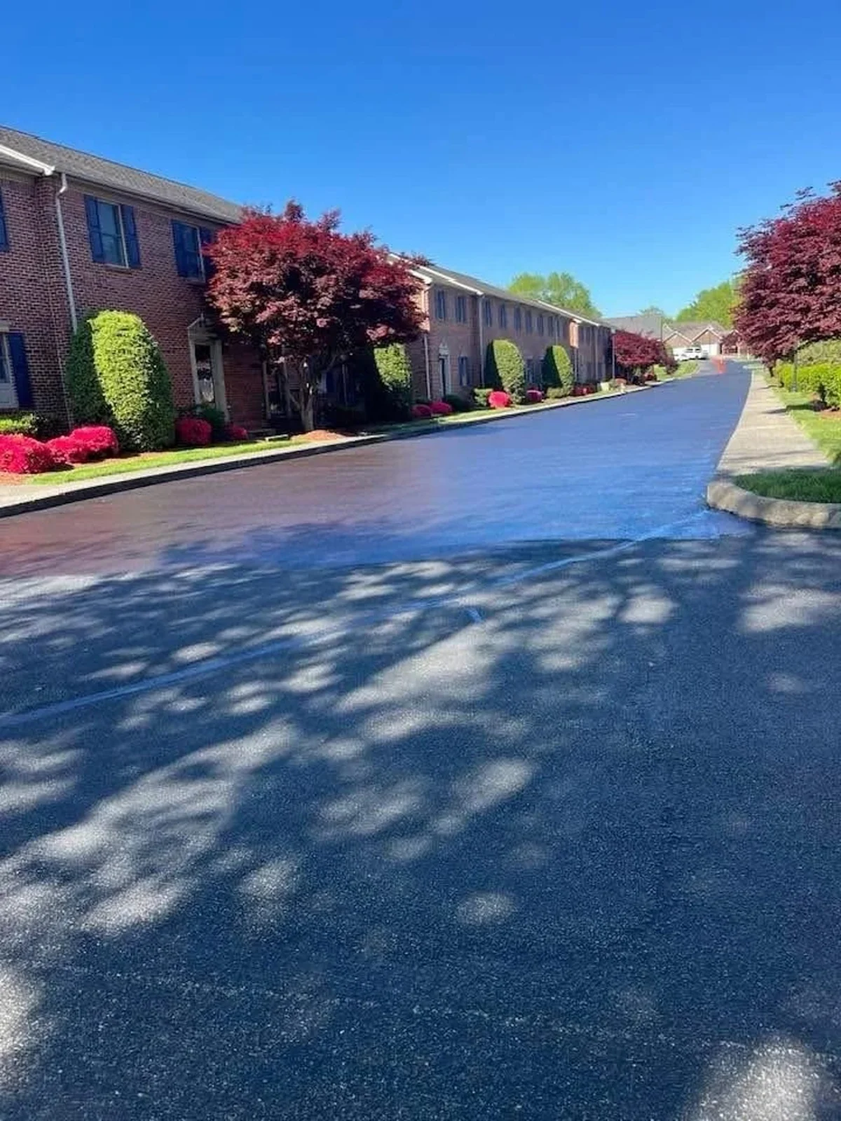 Paved surface from The Lion Sealer work gallery